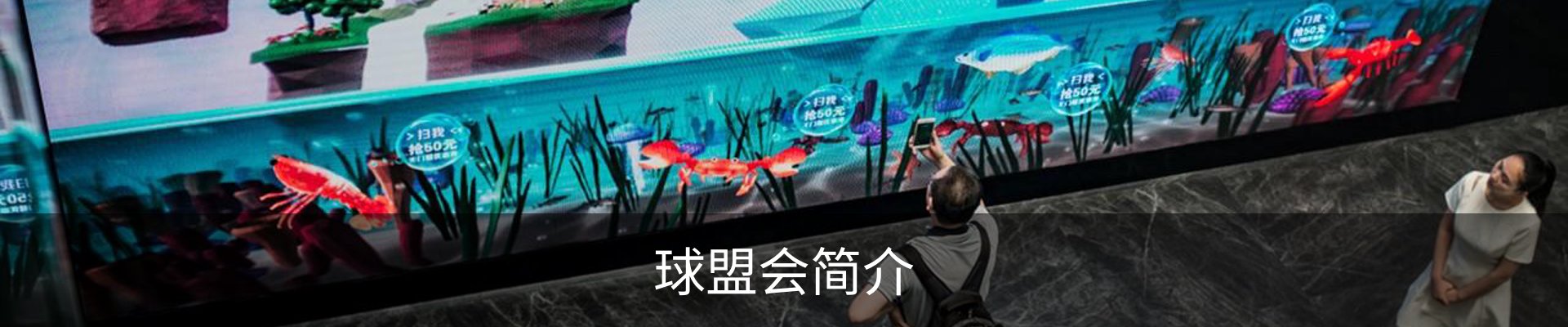 球盟会简介